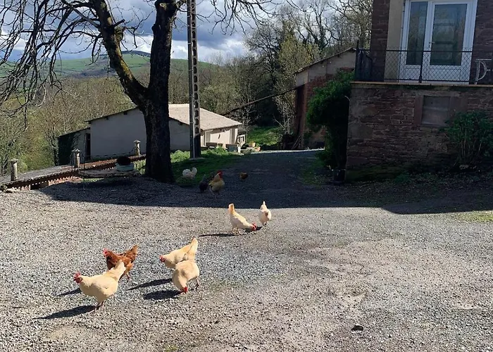 Holiday home La Loubiere - Le Au Coeur De La Nature *